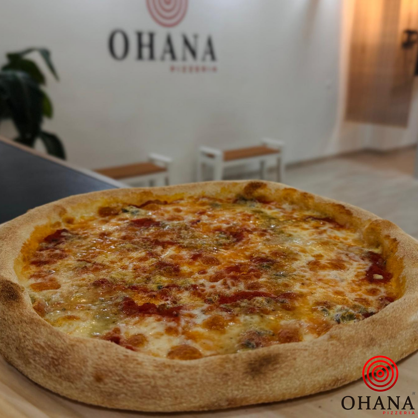 Quesos, salsa de tomate, mozzarella, queso azul, roquefort, queso de cabra, (fuera de cocción parmesano)