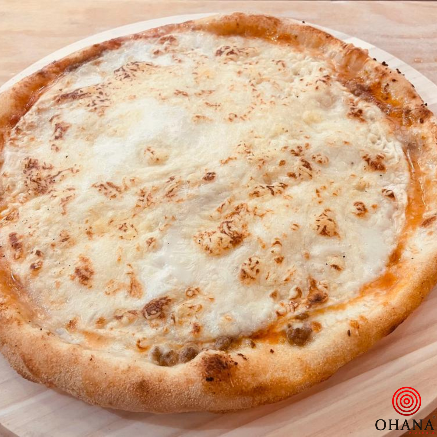 Bolosaña, salsa de tomate, mozzarella doble de carne de ternera, torta de trigo, bechamel, queso gratinado