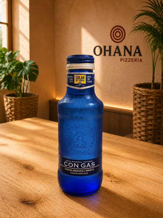 Agua con gas Solan de Cabras 500 ml