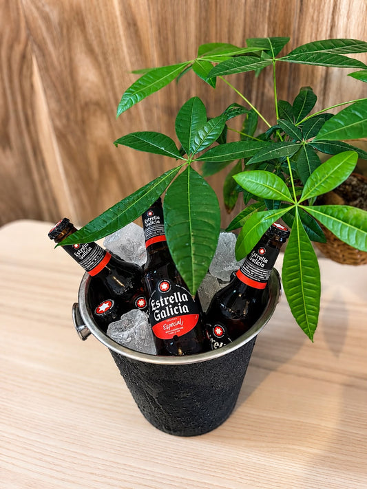 Cubo 1/5 Estrella Galicia 7unidades
