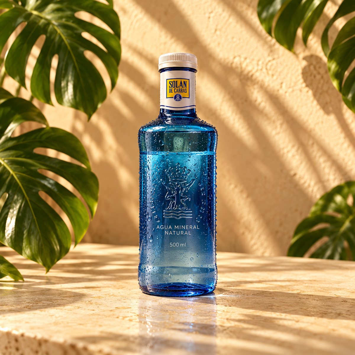 Agua Solan de Cabras 500ml