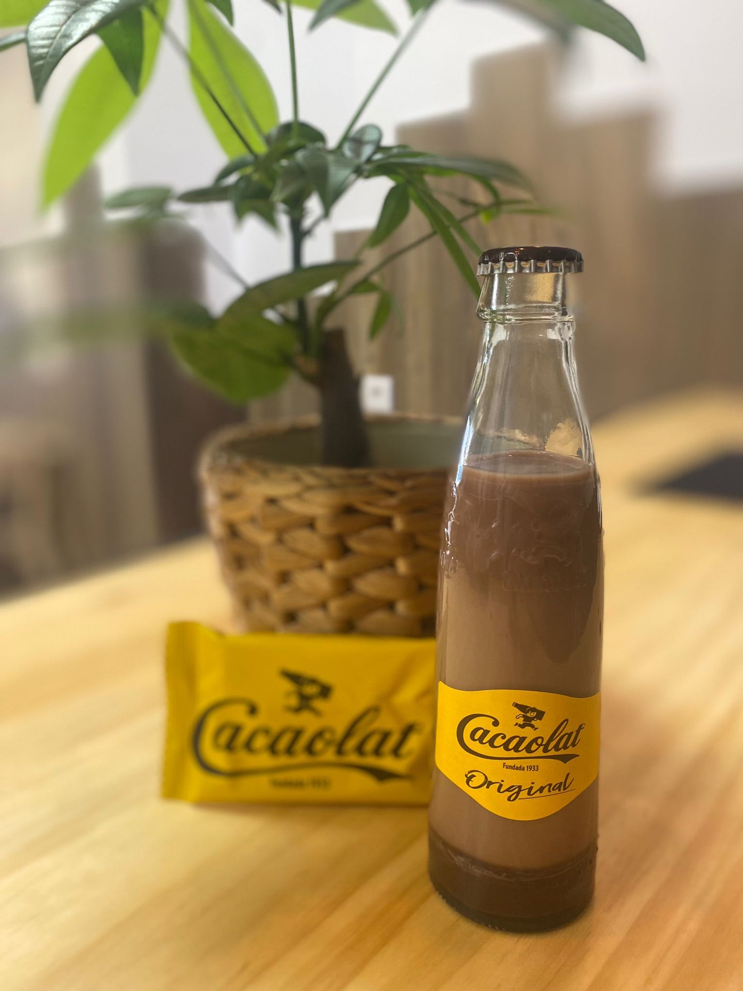 Cacaolat